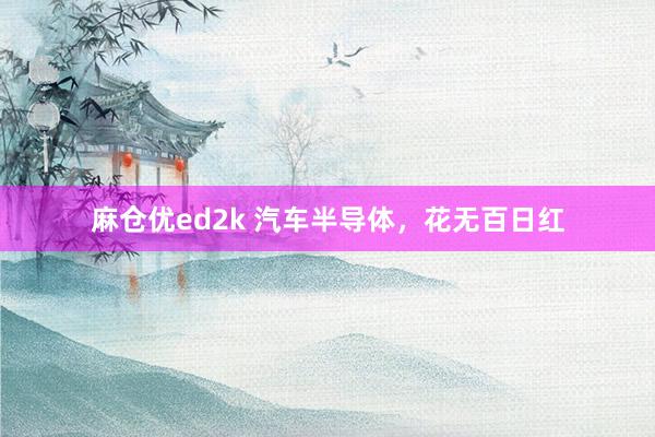 麻仓优ed2k 汽车半导体，花无百日红