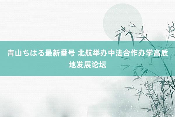 青山ちはる最新番号 北航举办中法合作办学高质地发展论坛