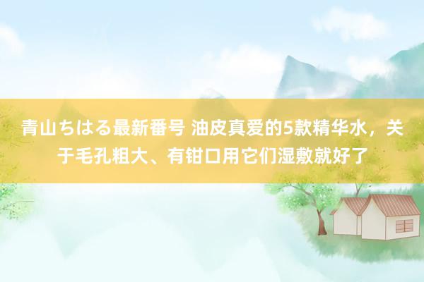 青山ちはる最新番号 油皮真爱的5款精华水，关于毛孔粗大、有钳口用它们湿敷就好了