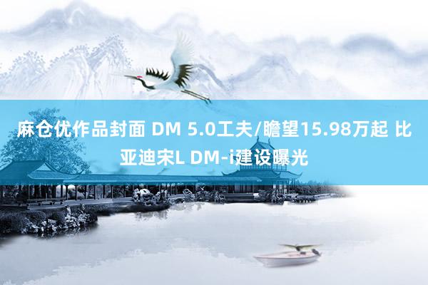 麻仓优作品封面 DM 5.0工夫/瞻望15.98万起 比亚迪宋L DM-i建设曝光