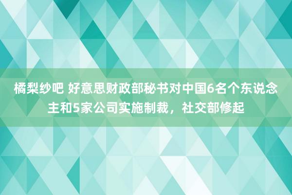 橘梨纱吧 好意思财政部秘书对中国6名个东说念主和5家公司实施制裁，社交部修起