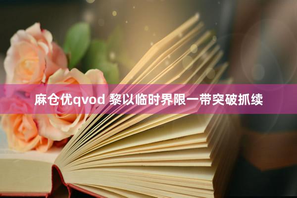 麻仓优qvod 黎以临时界限一带突破抓续