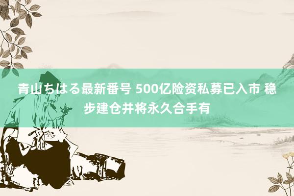 青山ちはる最新番号 500亿险资私募已入市 稳步建仓并将永久合手有