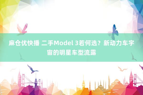 麻仓优快播 二手Model 3若何选？新动力车宇宙的明星车型流露