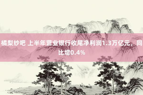 橘梨纱吧 上半年营业银行收尾净利润1.3万亿元，同比增0.4%