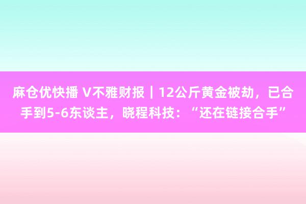 麻仓优快播 V不雅财报｜12公斤黄金被劫，已合手到5-6东谈主，晓程科技：“还在链接合手”