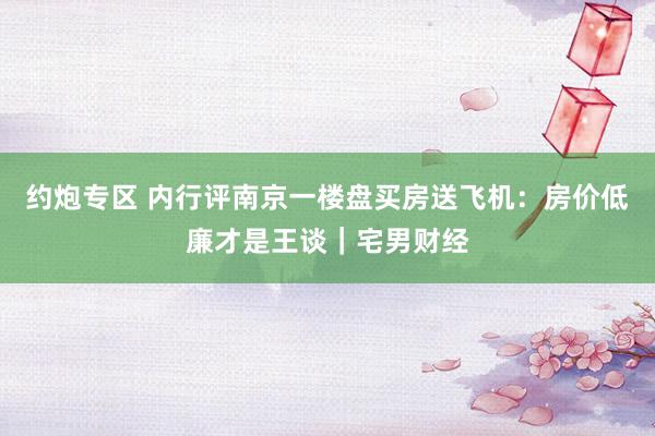 约炮专区 内行评南京一楼盘买房送飞机：房价低廉才是王谈｜宅男财经