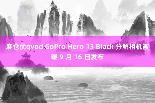 麻仓优qvod GoPro Hero 13 Black 分解相机被曝 9 月 16 日发布