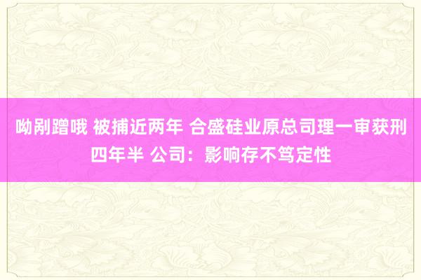 呦剐蹭哦 被捕近两年 合盛硅业原总司理一审获刑四年半 公司：影响存不笃定性