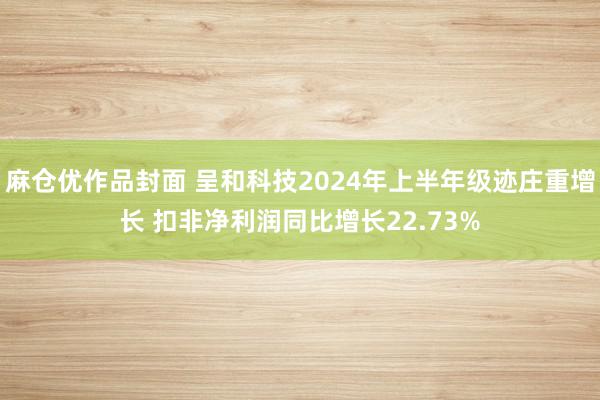 麻仓优作品封面 呈和科技2024年上半年级迹庄重增长 扣非净利润同比增长22.73%