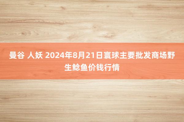 曼谷 人妖 2024年8月21日寰球主要批发商场野生鲶鱼价钱行情