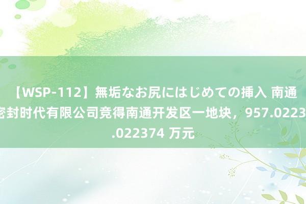 【WSP-112】無垢なお尻にはじめての挿入 南通润蚨祥密封时代有限公司竞得南通开发区一地块，957.022374 万元