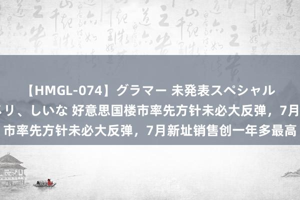 【HMGL-074】グラマー 未発表スペシャル 7 ゆず、MARIA、アメリ、しいな 好意思国楼市率先方针未必大反弹，7月新址销售创一年多最高