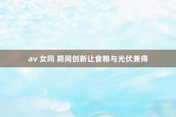 av 女同 期间创新让食粮与光伏兼得